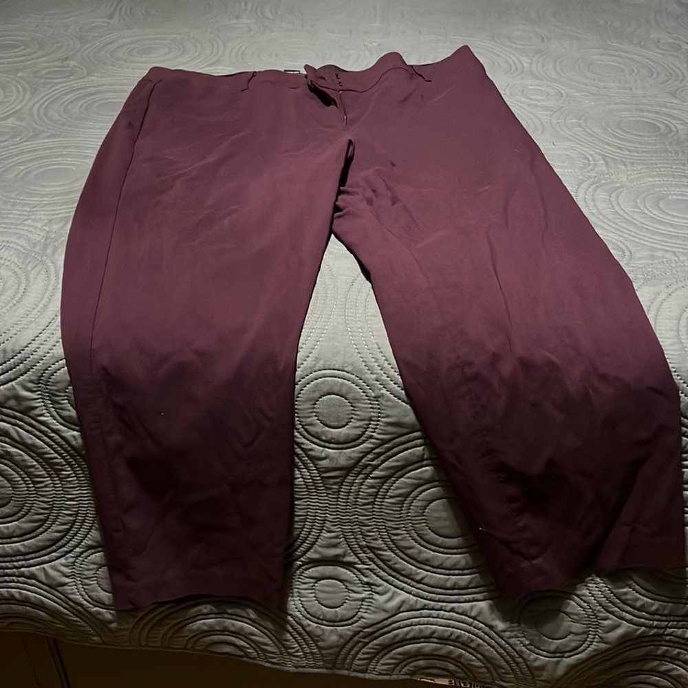 Lane Bryant Curvy Allie ankle pants